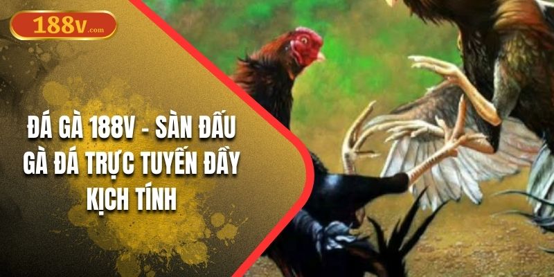 Đá gà 188V – Sàn Đấu Gà Đá Trực Tuyến Đầy Kịch Tính